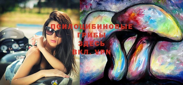 jwh Алзамай