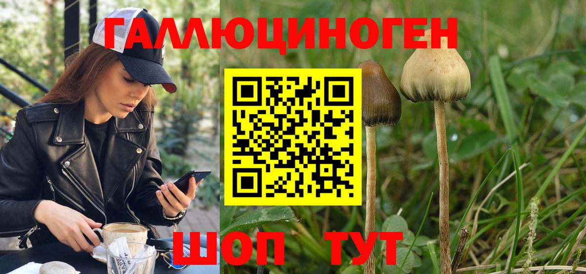 даркнет сайт  Вход с VPN  Карабулак  Галлюциногенные грибы мухоморы 